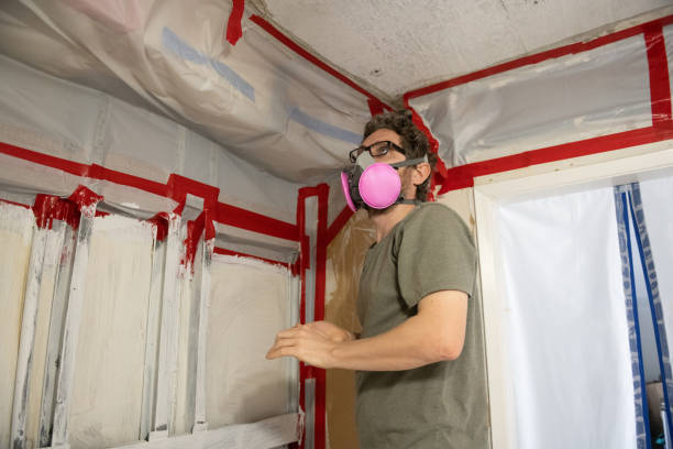 Best Post-Construction Mold Inspection  in Johnsonville, SC