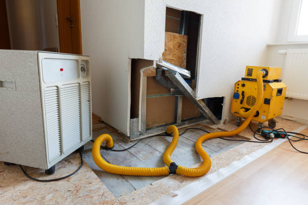 Best Mold Removal for HVAC Installations  in Johnsonville, SC