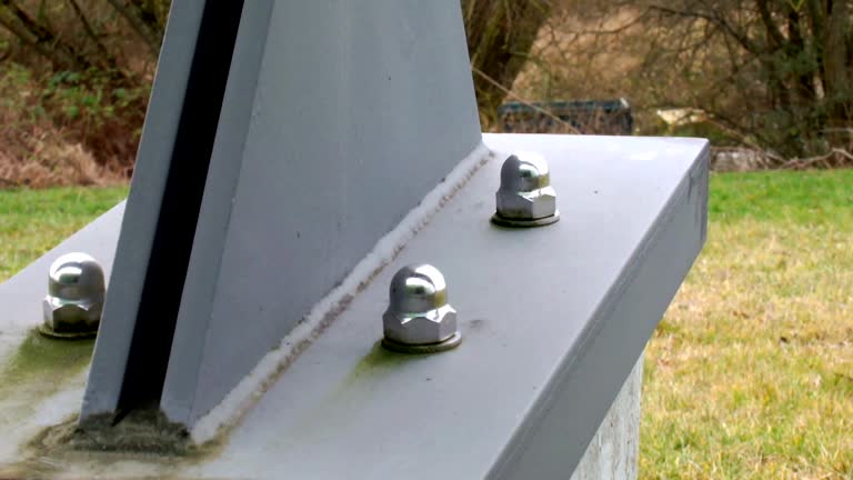 Best Industrial Mold Remediation  in Johnsonville, SC